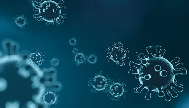 corona virus