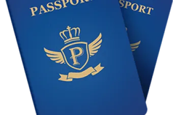Passport Icon