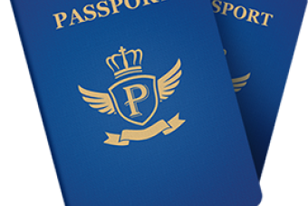 Passport Icon